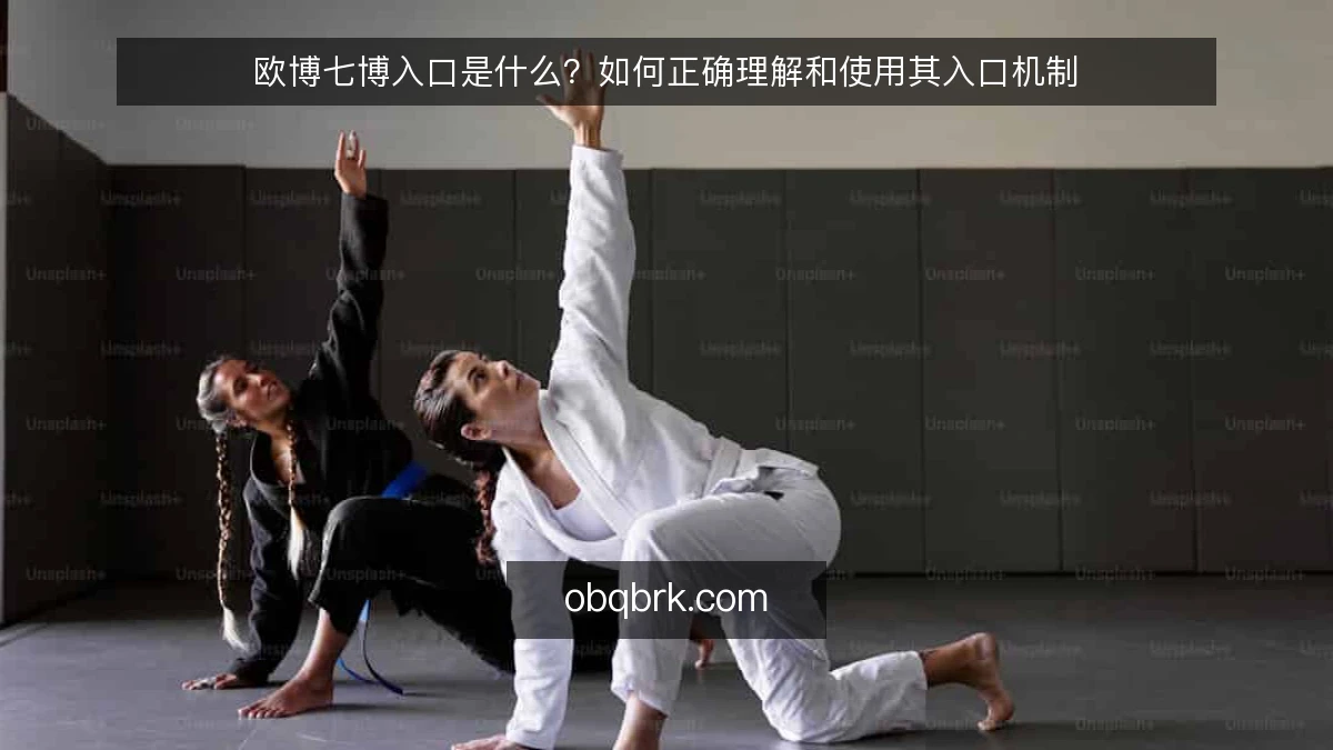 欧博七博入口是什么?如何正确理解和使用其入口机制