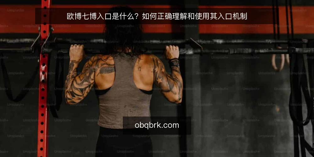 欧博七博入口是什么?如何正确理解和使用其入口机制 — 准备:明确入口概念与使用前提 配图