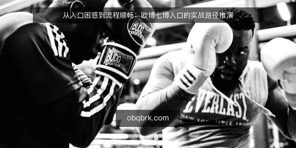 从入口困惑到流程顺畅：欧博七博入口的实战路径推演 — 初识入口：从混乱到有序的使用起点 配图