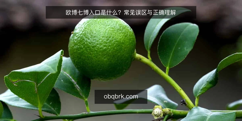 欧博七博入口是什么?常见误区与正确理解 — 定义:欧博七博入口的基本概念 配图