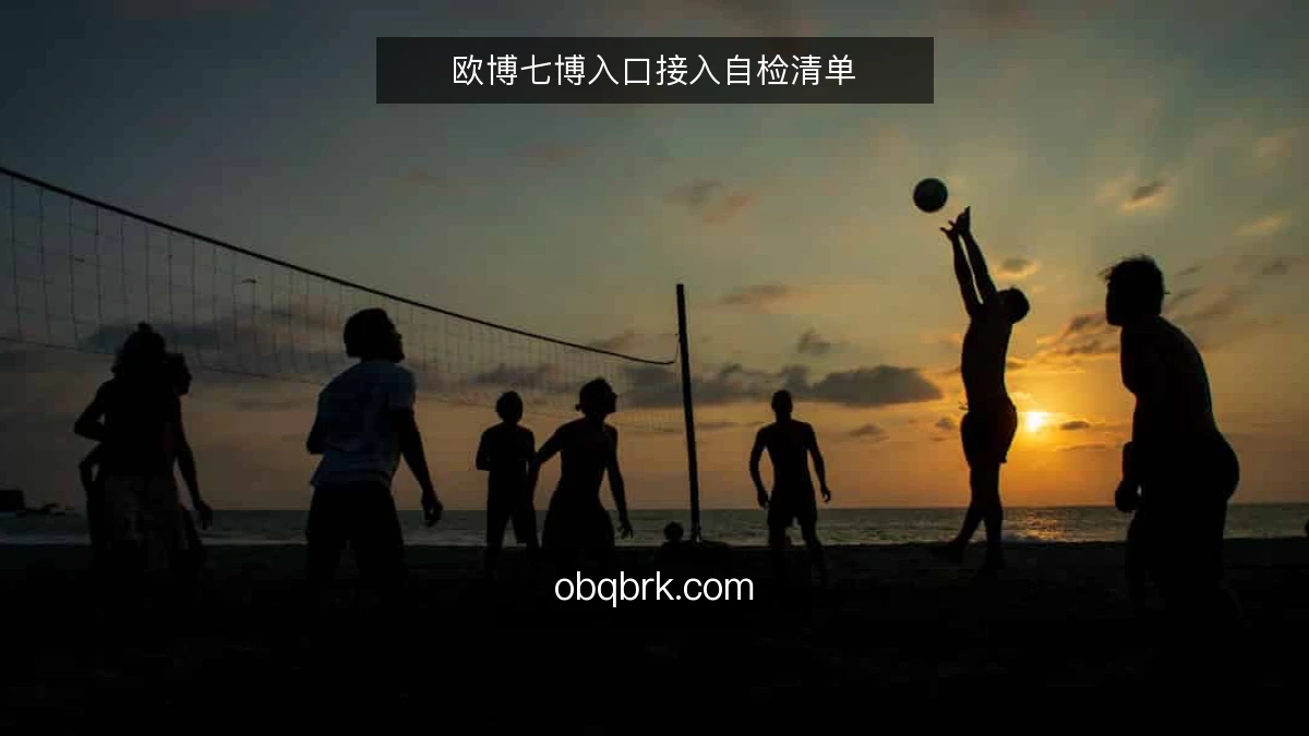 欧博七博入口接入自检清单