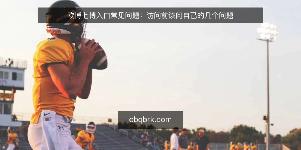 欧博七博入口常见问题：访问前该问自己的几个问题 — 先弄清：欧博七博入口到底指什么 配图