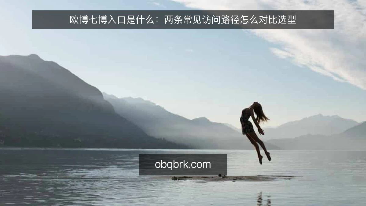 欧博七博入口是什么:两条常见访问路径怎么对比选型
